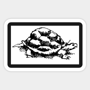 Turtle Sticker